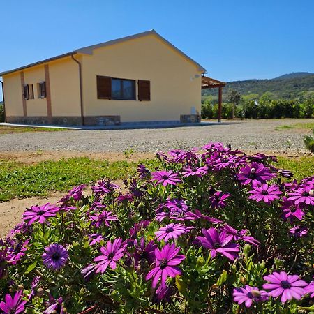 Agriturismo Fusini ماليانو إن توسكانا المظهر الخارجي الصورة