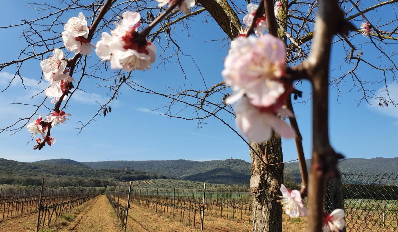Agriturismo Fusini ماليانو إن توسكانا المظهر الخارجي الصورة