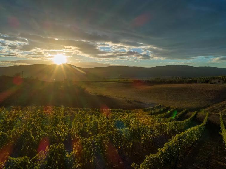 Agriturismo Fusini ماليانو إن توسكانا المظهر الخارجي الصورة