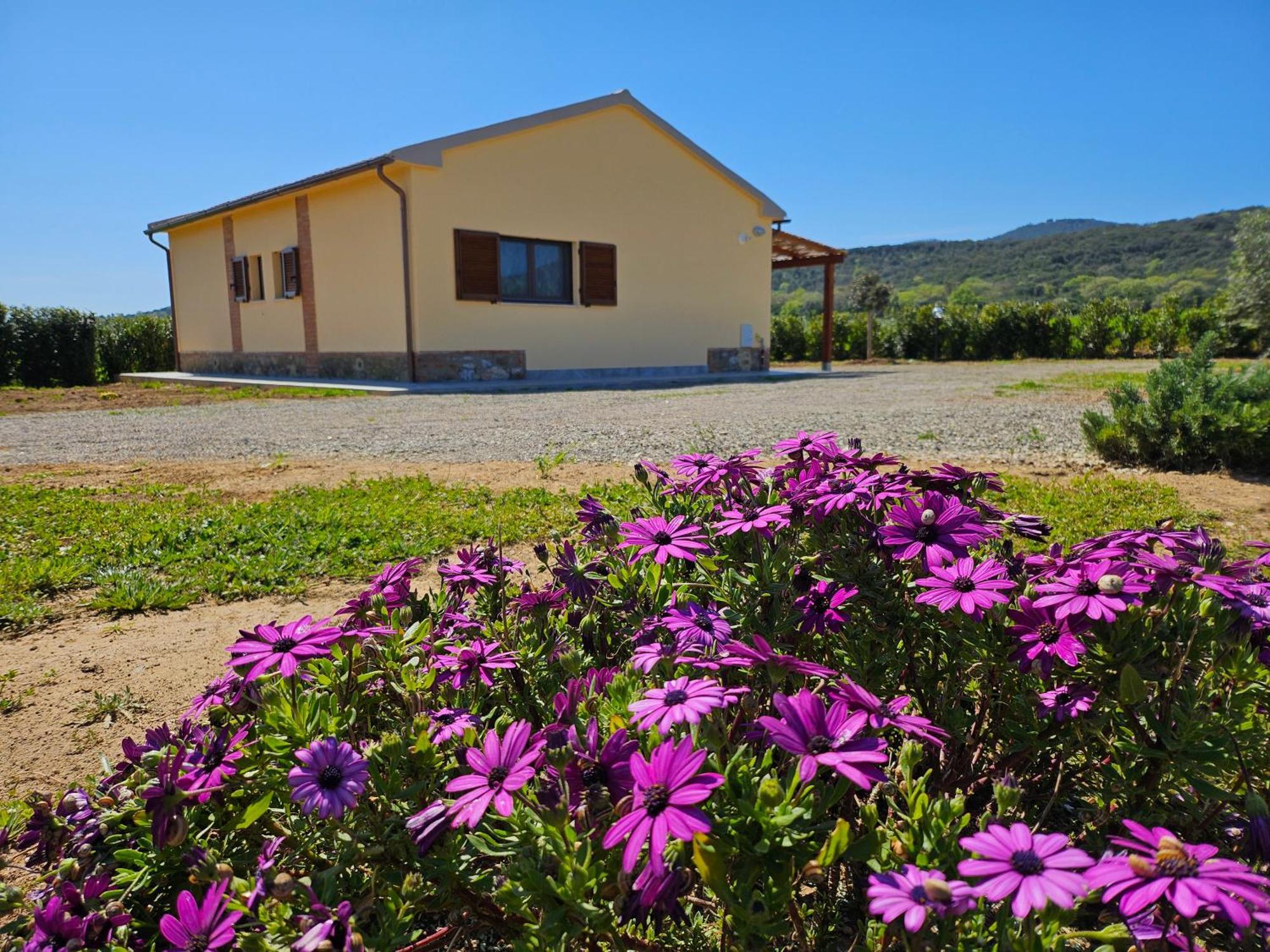 Agriturismo Fusini ماليانو إن توسكانا المظهر الخارجي الصورة