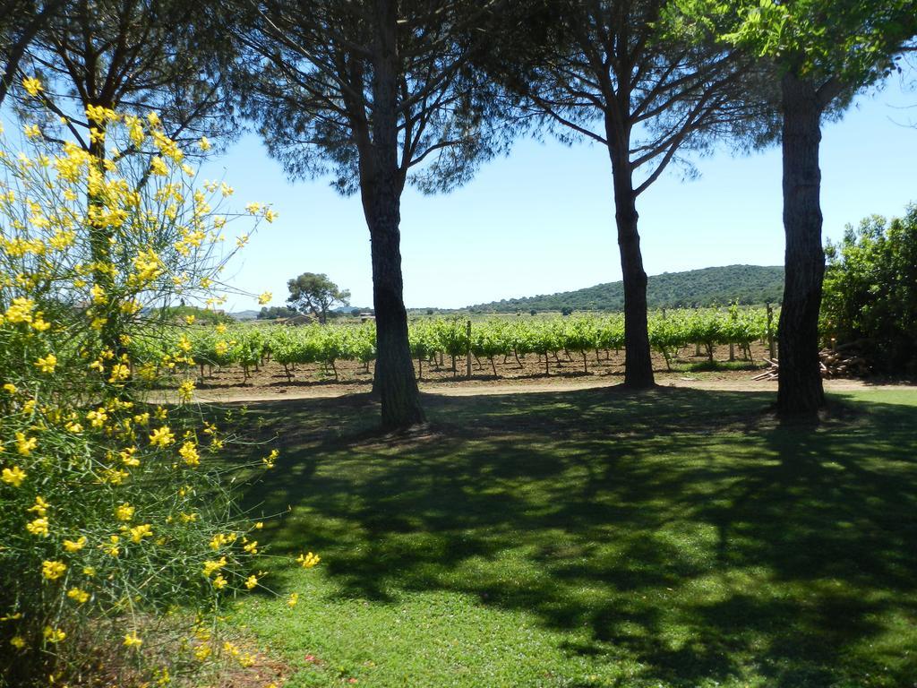 Agriturismo Fusini ماليانو إن توسكانا المظهر الخارجي الصورة