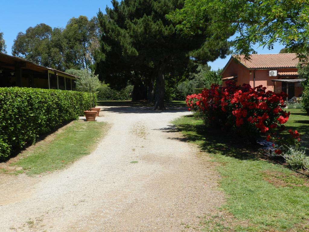 Agriturismo Fusini ماليانو إن توسكانا المظهر الخارجي الصورة