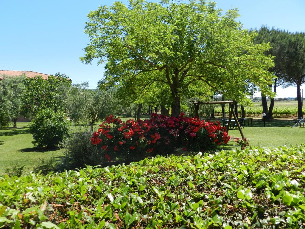 Agriturismo Fusini ماليانو إن توسكانا المظهر الخارجي الصورة