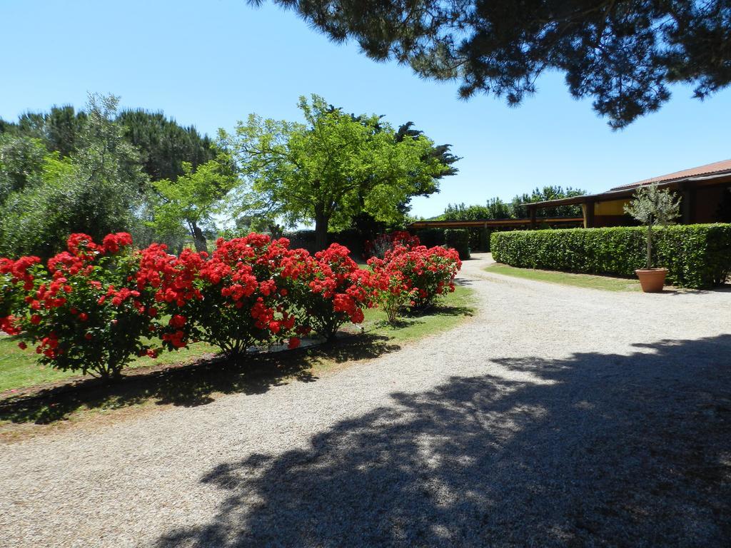 Agriturismo Fusini ماليانو إن توسكانا المظهر الخارجي الصورة