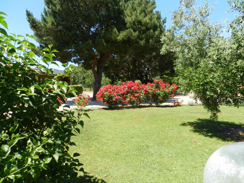 Agriturismo Fusini ماليانو إن توسكانا المظهر الخارجي الصورة