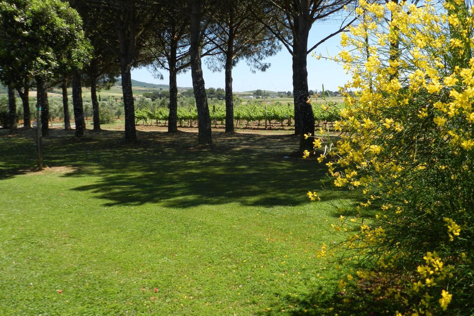 Agriturismo Fusini ماليانو إن توسكانا المظهر الخارجي الصورة