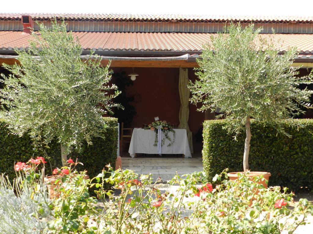 Agriturismo Fusini ماليانو إن توسكانا المظهر الخارجي الصورة