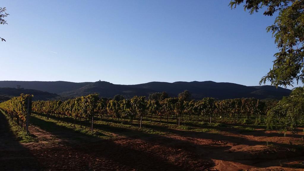 Agriturismo Fusini ماليانو إن توسكانا المظهر الخارجي الصورة