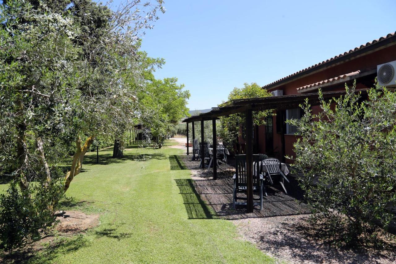 Agriturismo Fusini ماليانو إن توسكانا المظهر الخارجي الصورة